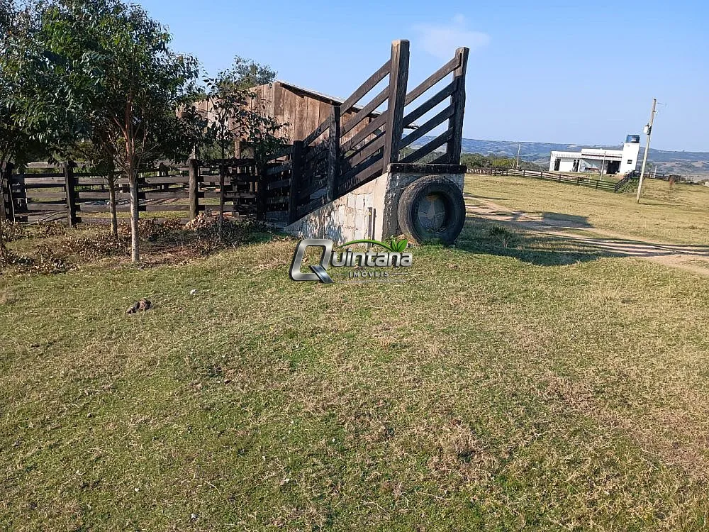 Sítio, 24 hectares - Foto 4