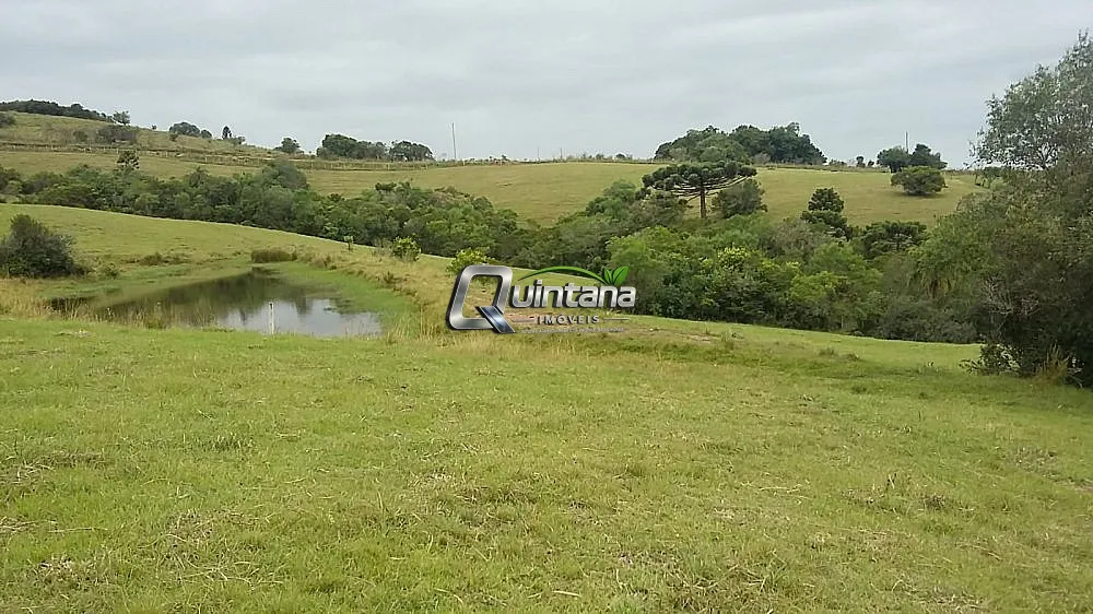 Fazenda, 800 hectares - Foto 2