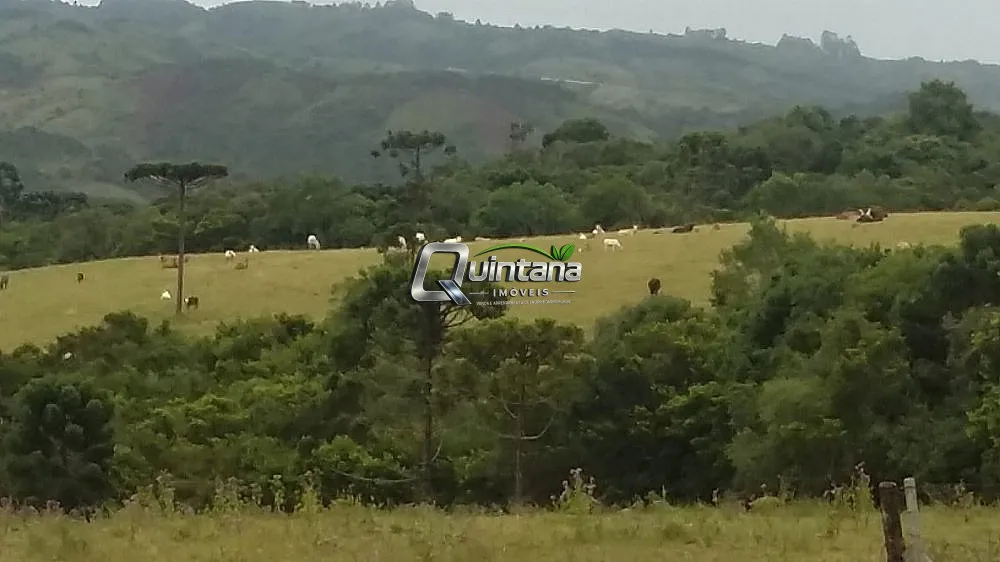 Fazenda, 800 hectares - Foto 3