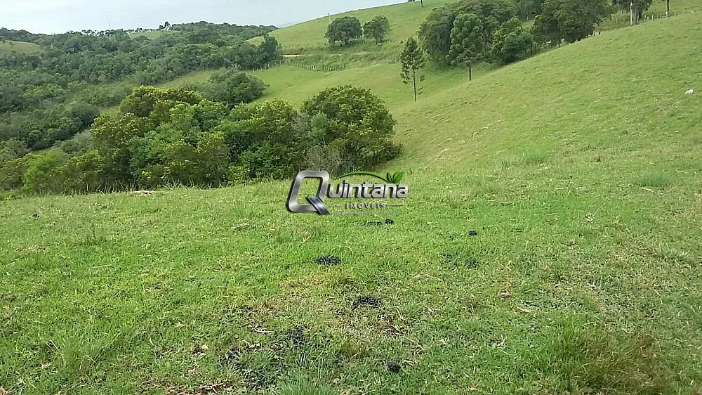 Fazenda, 800 hectares - Foto 4