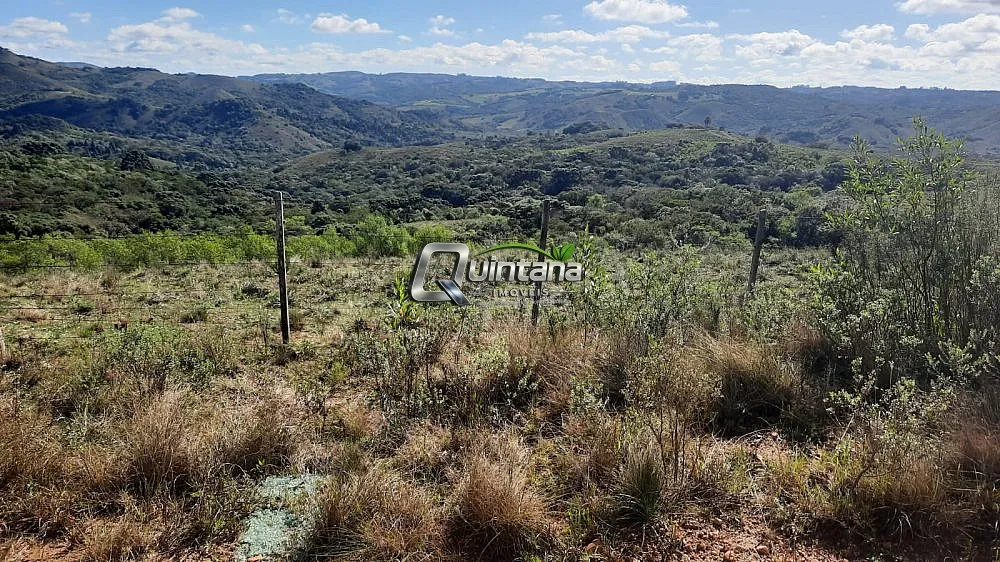 Fazenda, 800 hectares - Foto 11