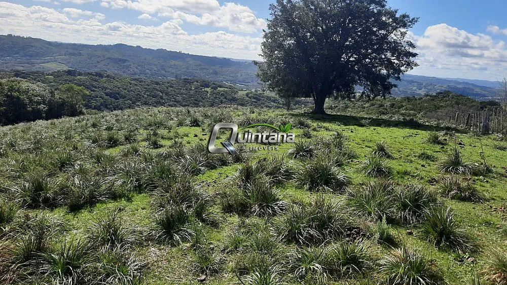 Fazenda, 800 hectares - Foto 1