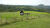Fazenda, 800 hectares - Foto 7