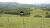 Fazenda, 800 hectares - Foto 8