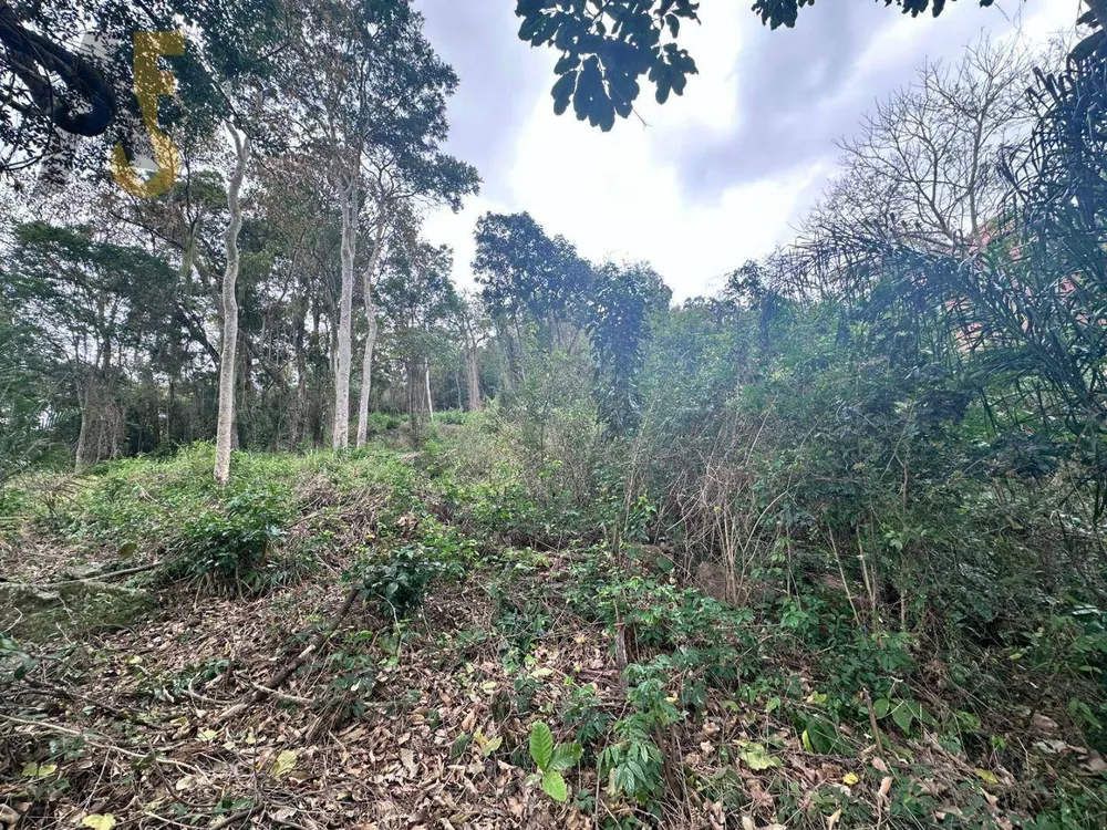 Loteamento e Condomínio, 2000 m² - Foto 3