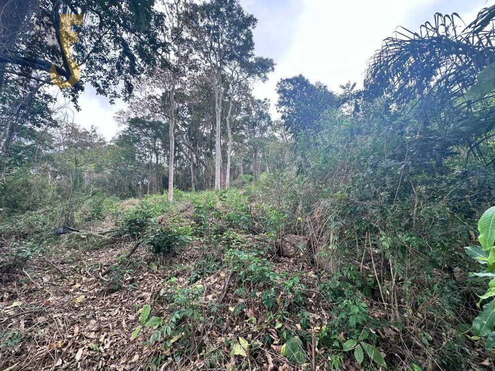 Loteamento e Condomínio, 2000 m² - Foto 5