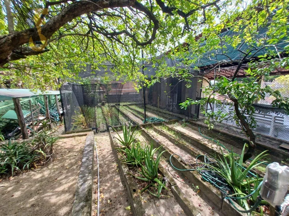 Casa, 3 quartos, 587 m² - Foto 28