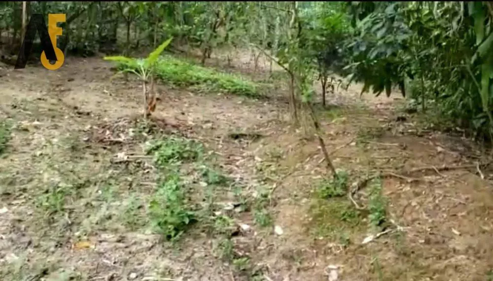 Terreno, 1000 m² - Foto 12