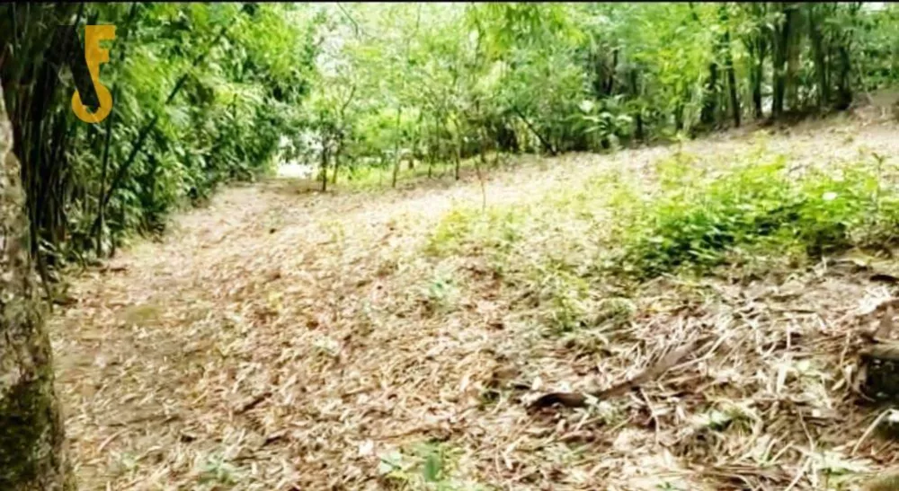 Terreno, 1000 m² - Foto 8