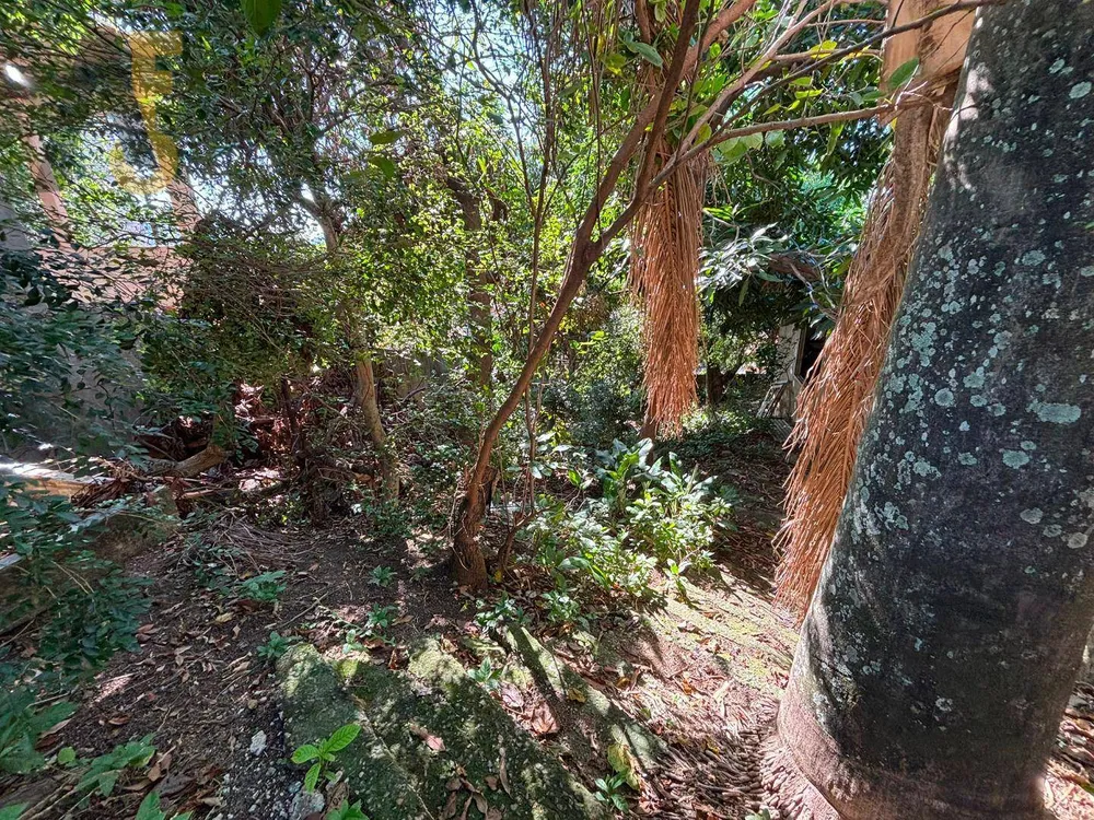 Terreno, 375 m² - Foto 4