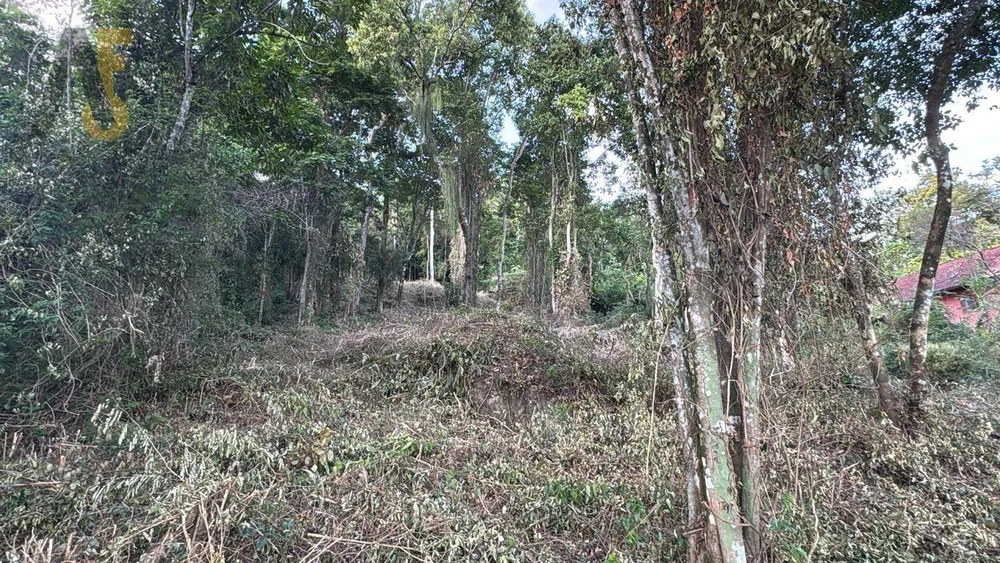 Loteamento e Condomínio, 2000 m² - Foto 8