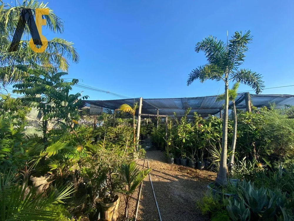 Terreno, 3280 m² - Foto 17