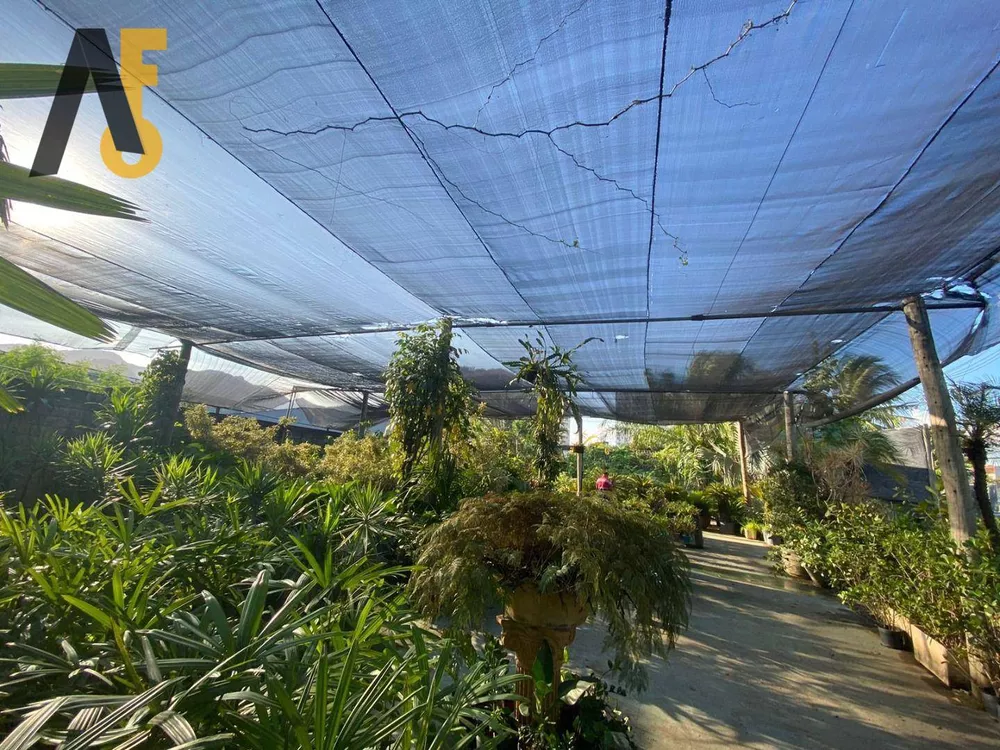 Terreno, 3280 m² - Foto 6