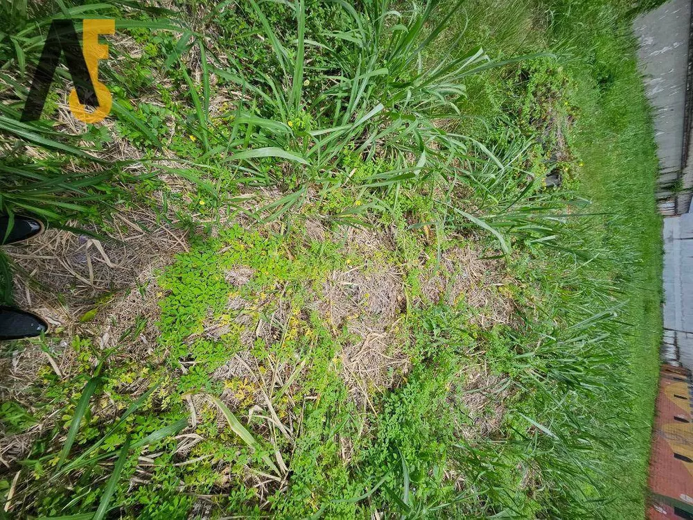 Loteamento e Condomínio, 1540 m² - Foto 34