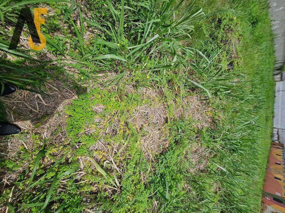 Loteamento e Condomínio, 1540 m² - Foto 36