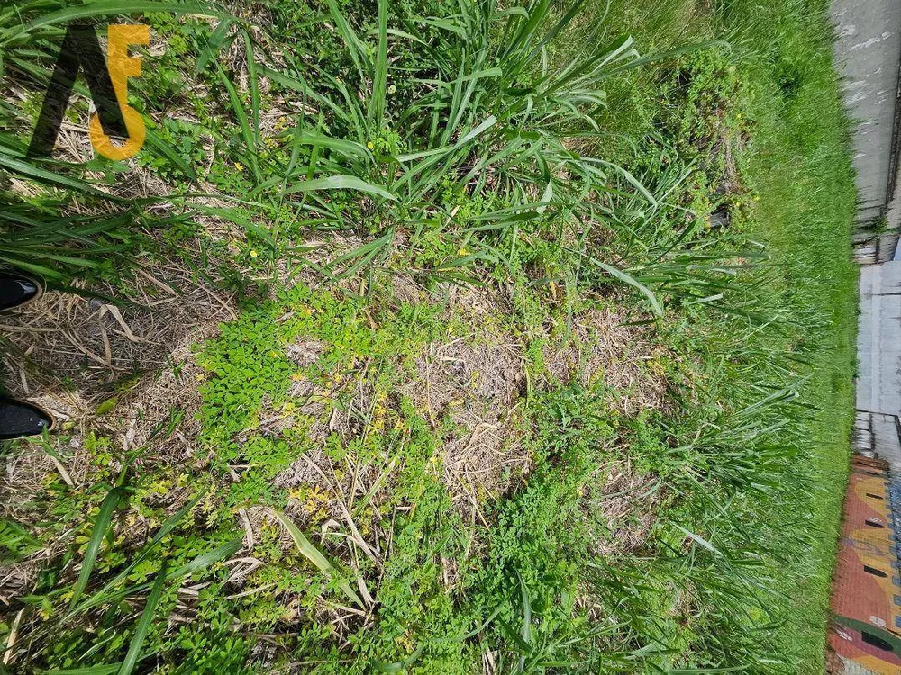 Loteamento e Condomínio, 1540 m² - Foto 35