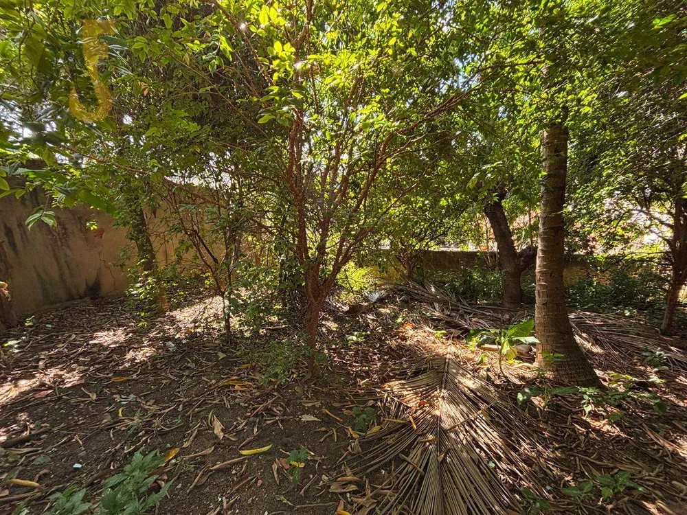 Terreno, 375 m² - Foto 11