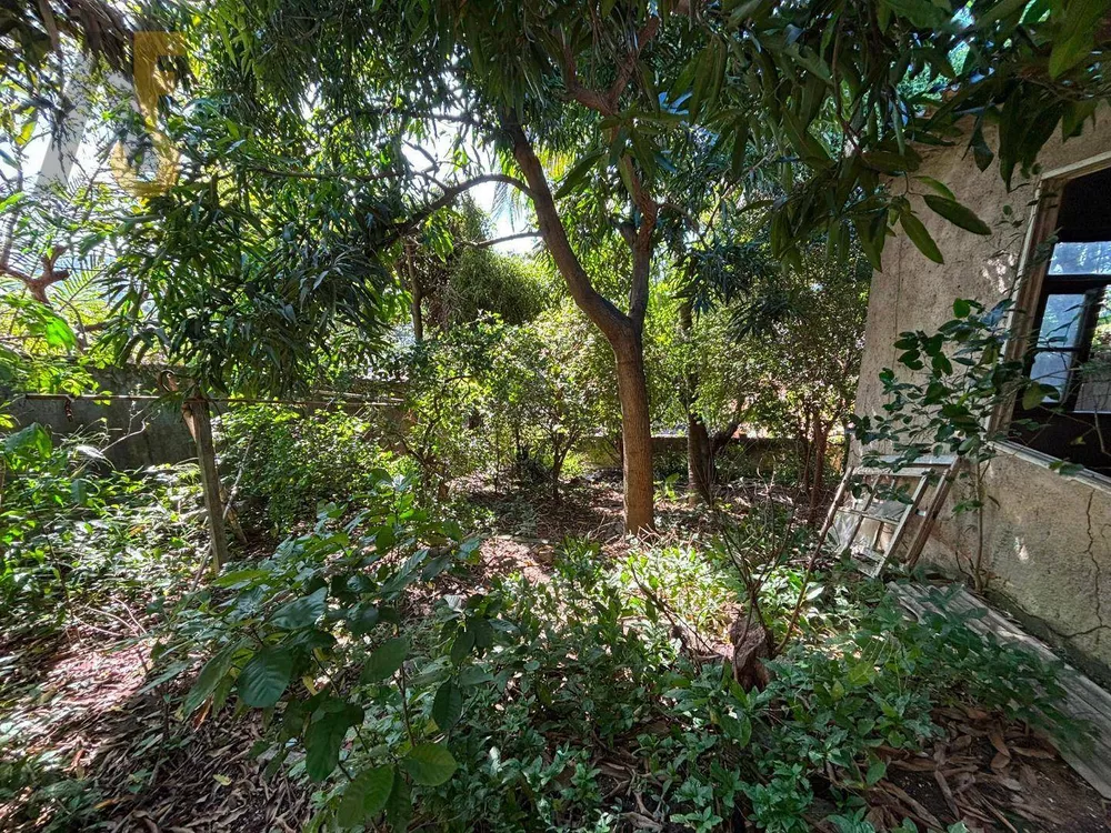 Terreno, 375 m² - Foto 5