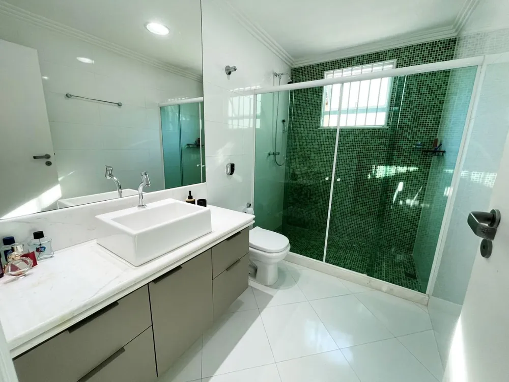 Casa, 5 quartos, 305 m² - Foto 27