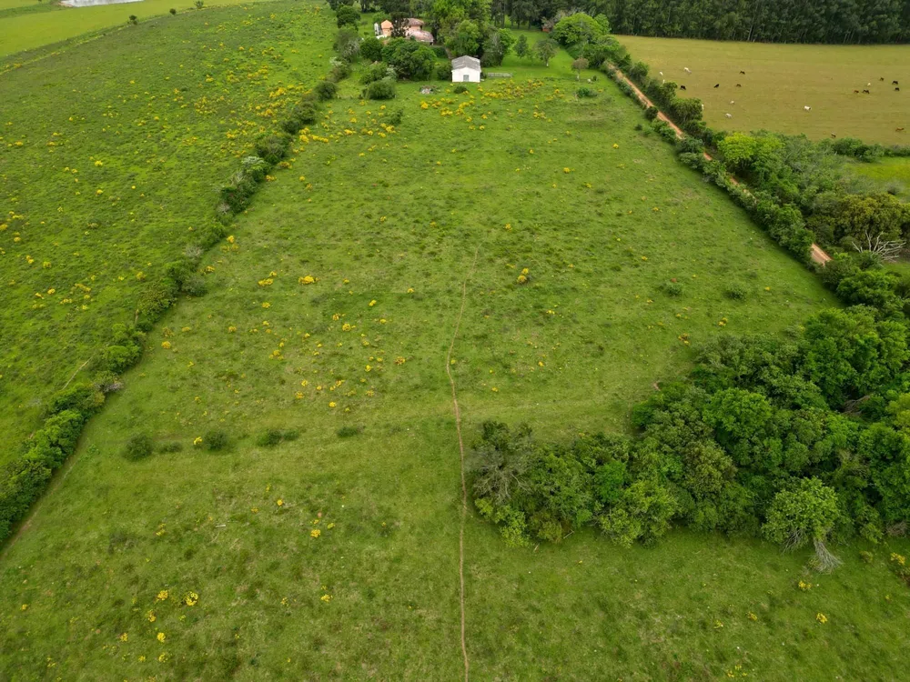 Fazenda à venda com 4 quartos, 130000m² - Foto 4