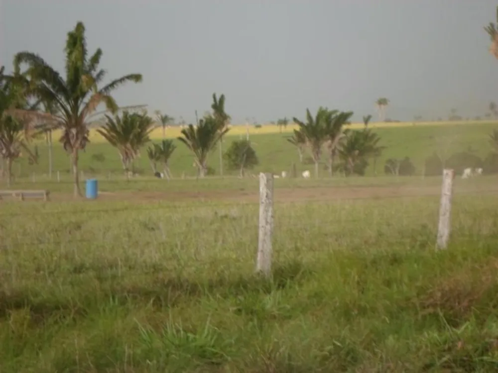 Fazenda - Foto 3