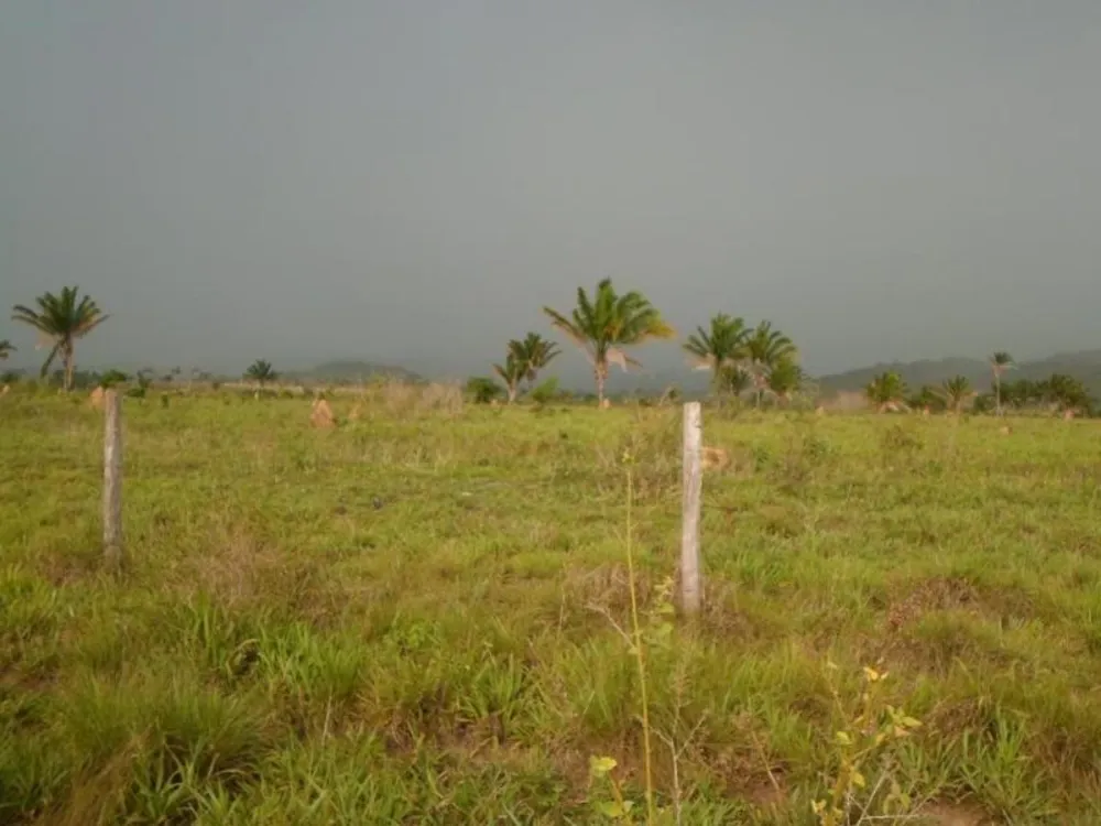 Fazenda - Foto 4