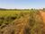 Fazenda-Sítio-Chácara - Foto 2