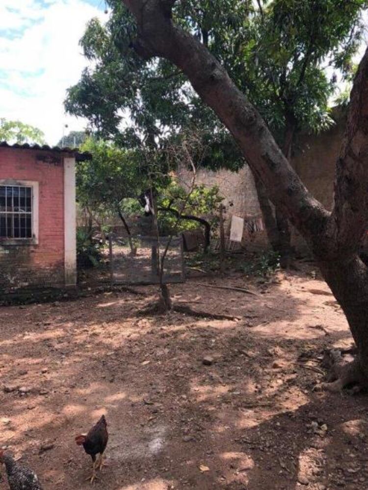 Terreno à venda, 83m² - Foto 6