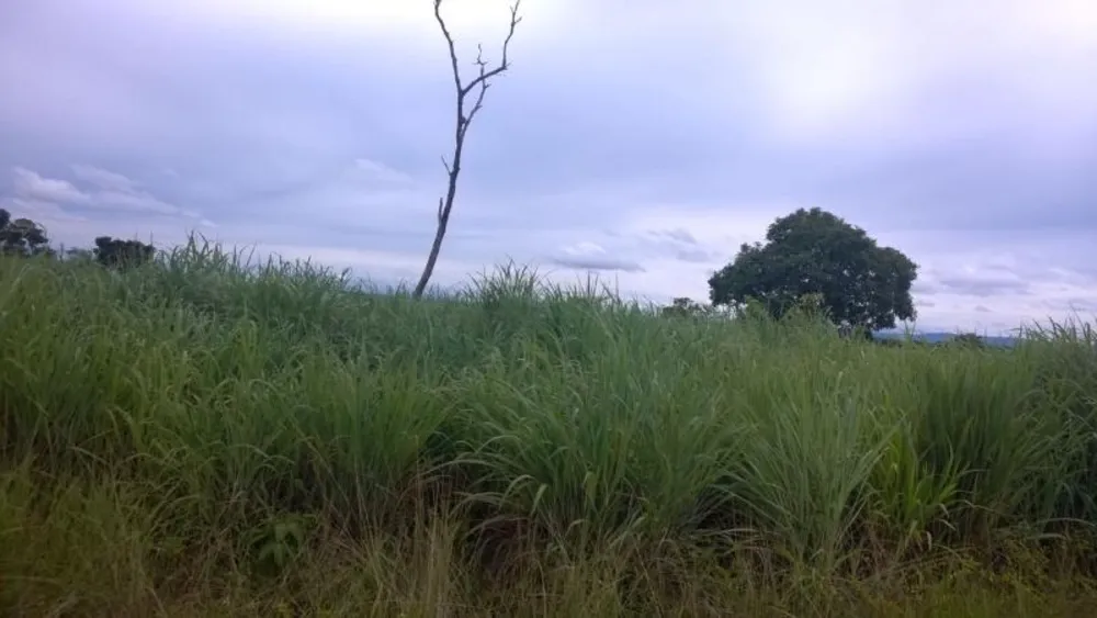 Fazenda - Foto 8