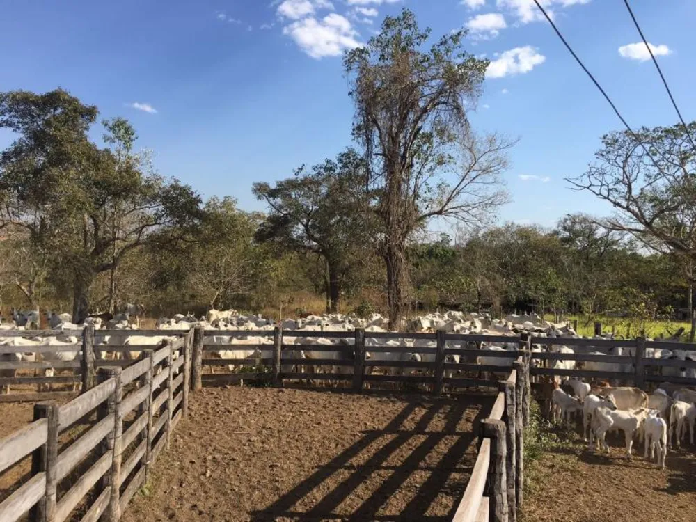 Fazenda - Foto 5