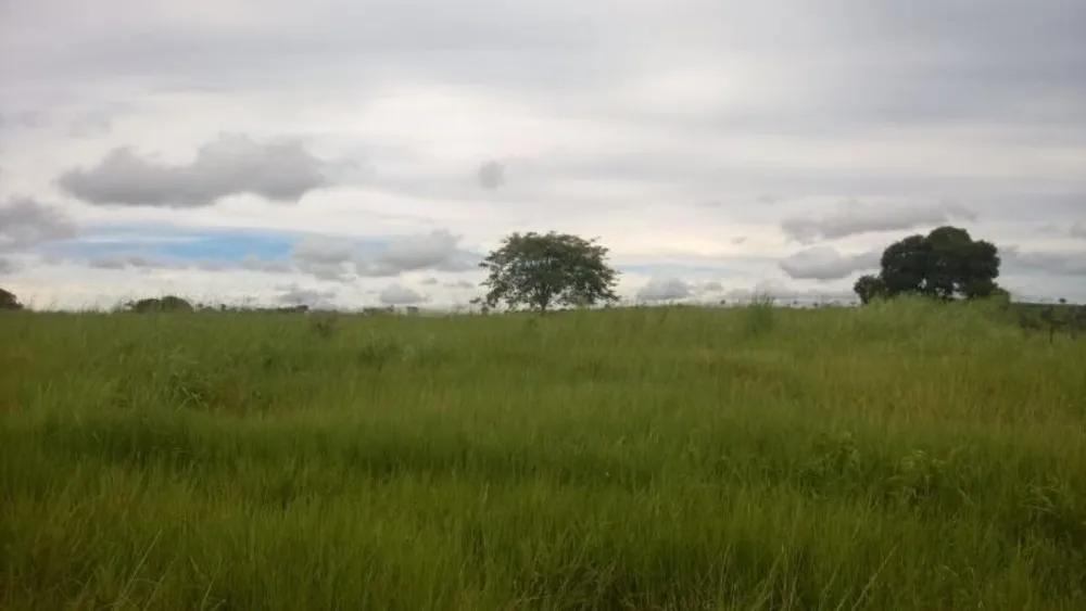 Fazenda - Foto 7