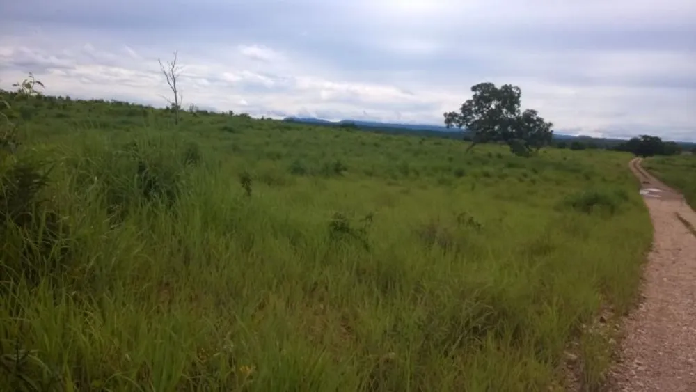 Fazenda - Foto 6