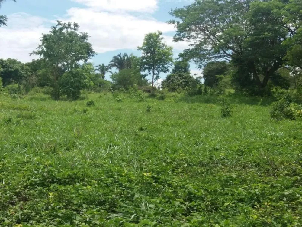 Fazenda - Foto 6