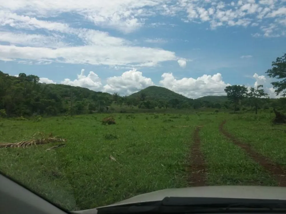 Fazenda - Foto 2