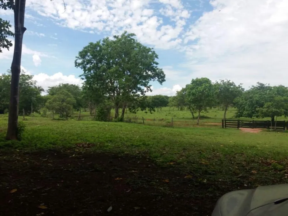 Fazenda - Foto 3