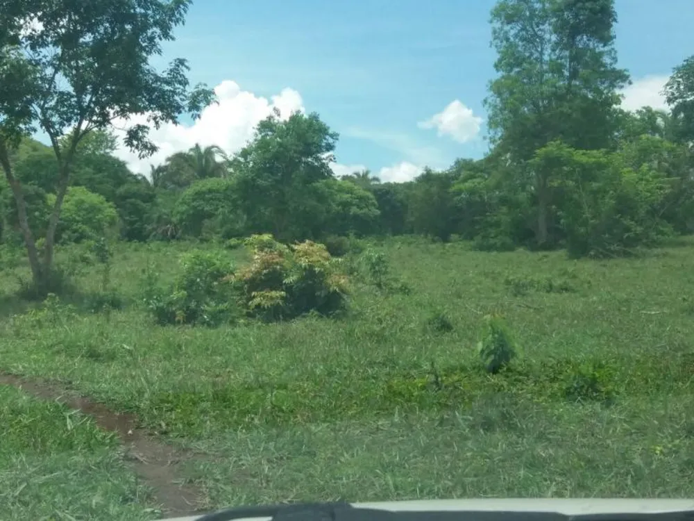 Fazenda - Foto 8