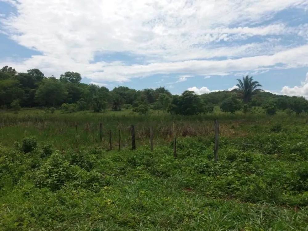 Fazenda - Foto 5