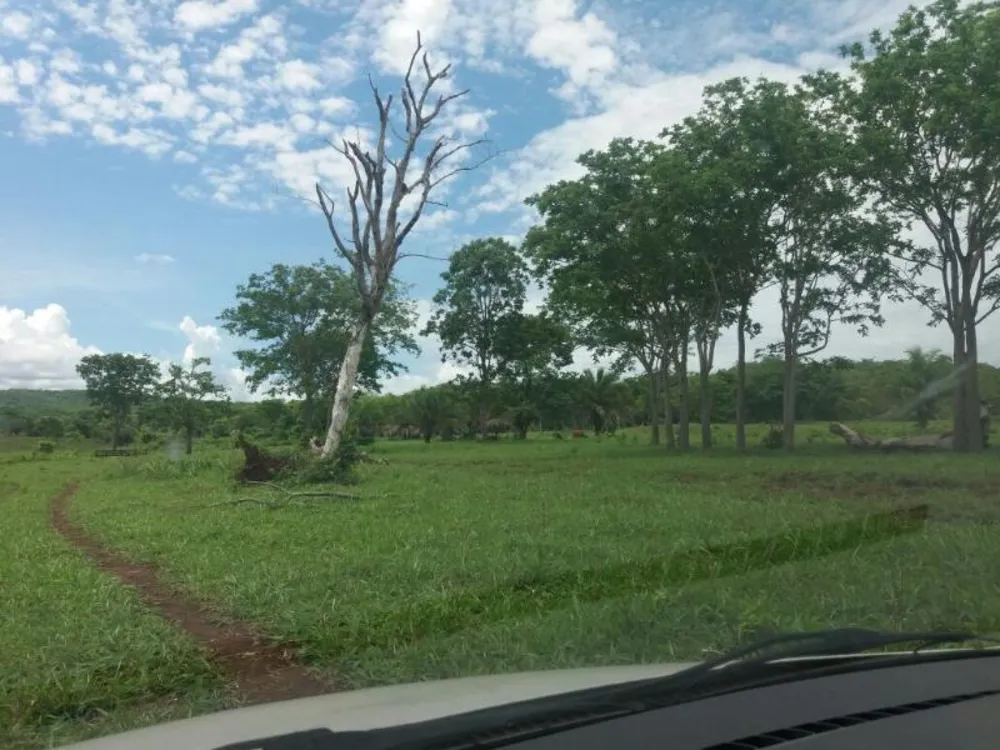 Fazenda - Foto 1