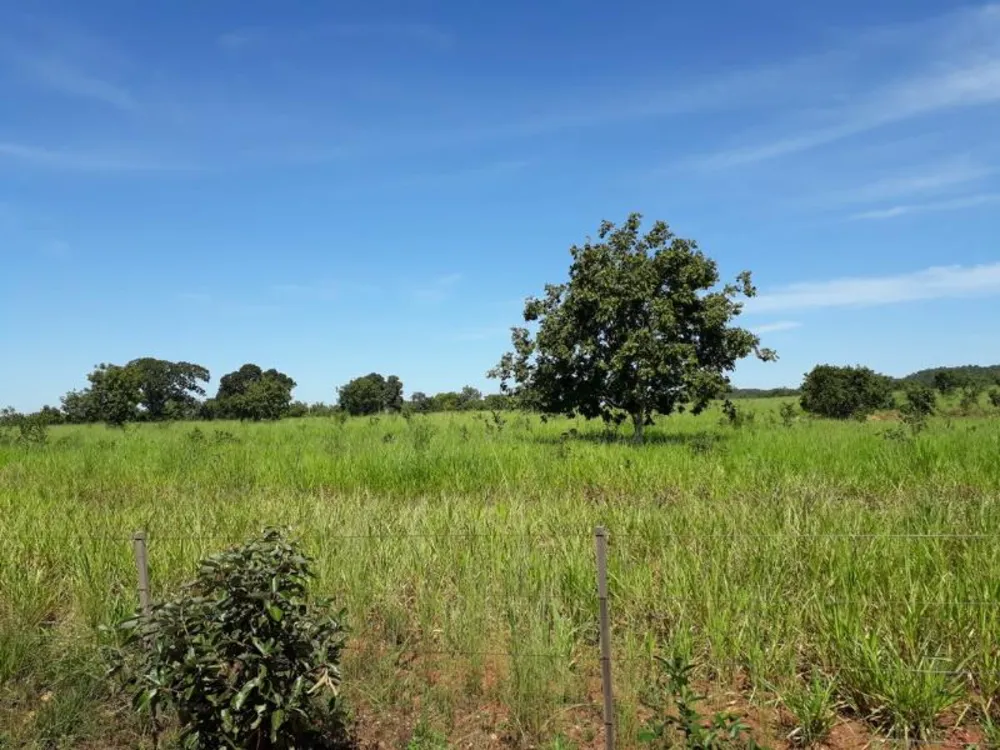 Fazenda - Foto 22
