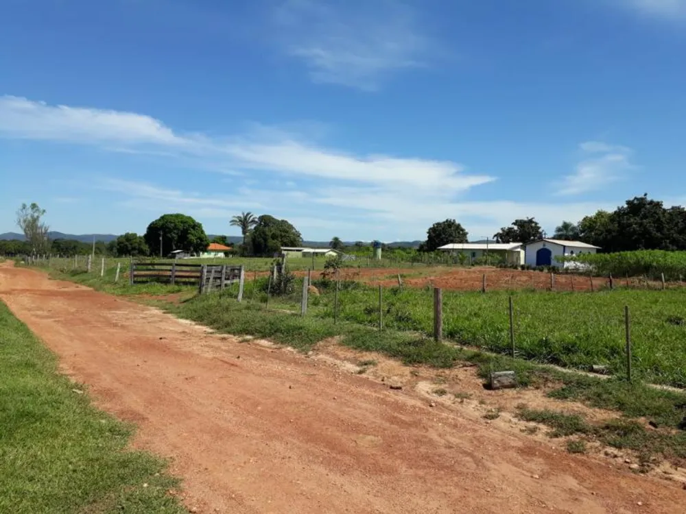 Fazenda - Foto 5