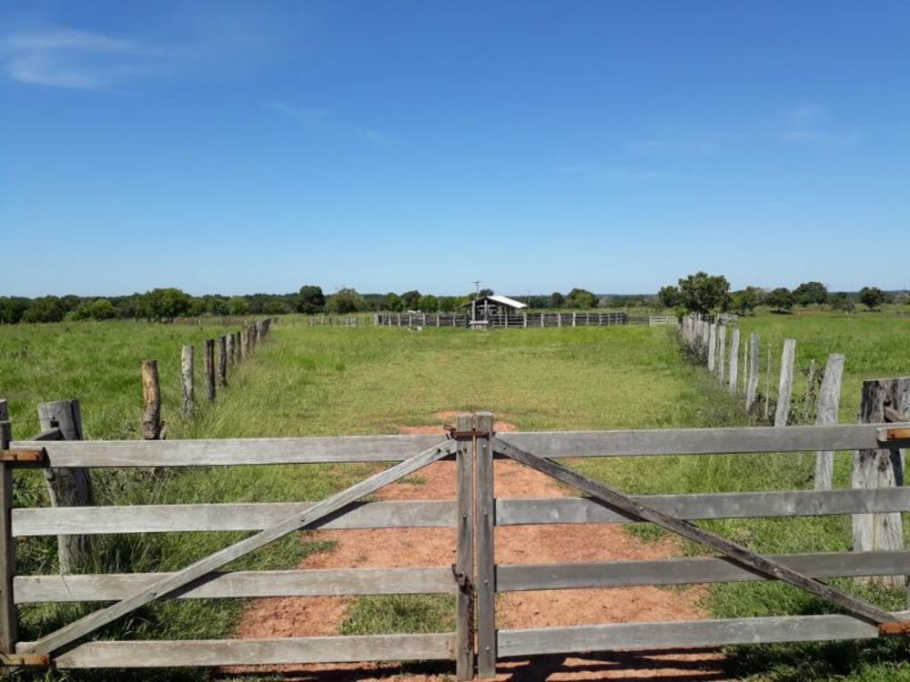 Fazenda - Foto 4