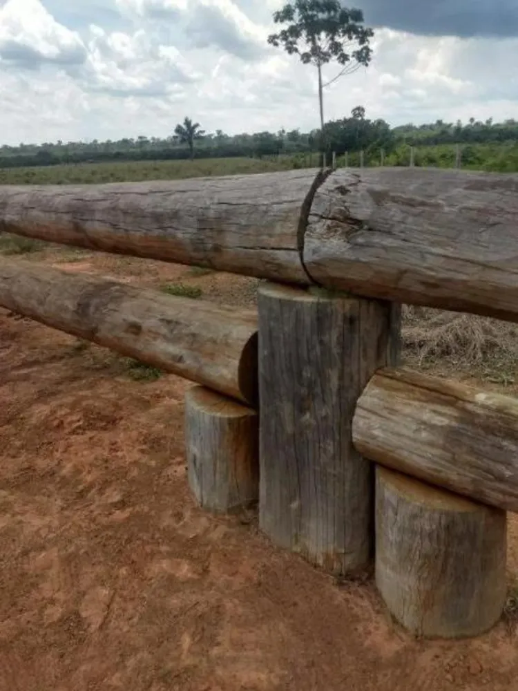 Fazenda - Foto 3