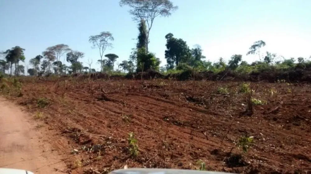 Fazenda - Foto 3