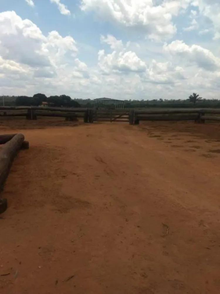 Fazenda - Foto 7