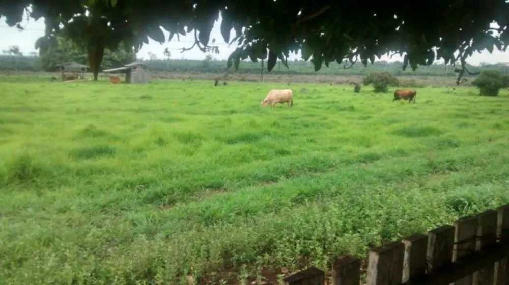 Fazenda - Foto 2