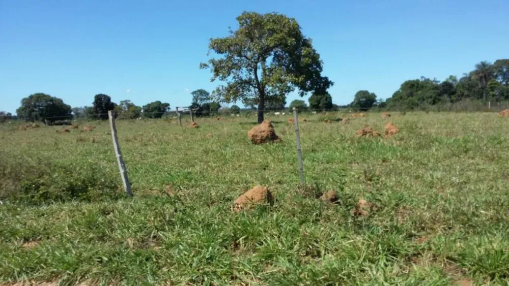 Fazenda - Foto 8