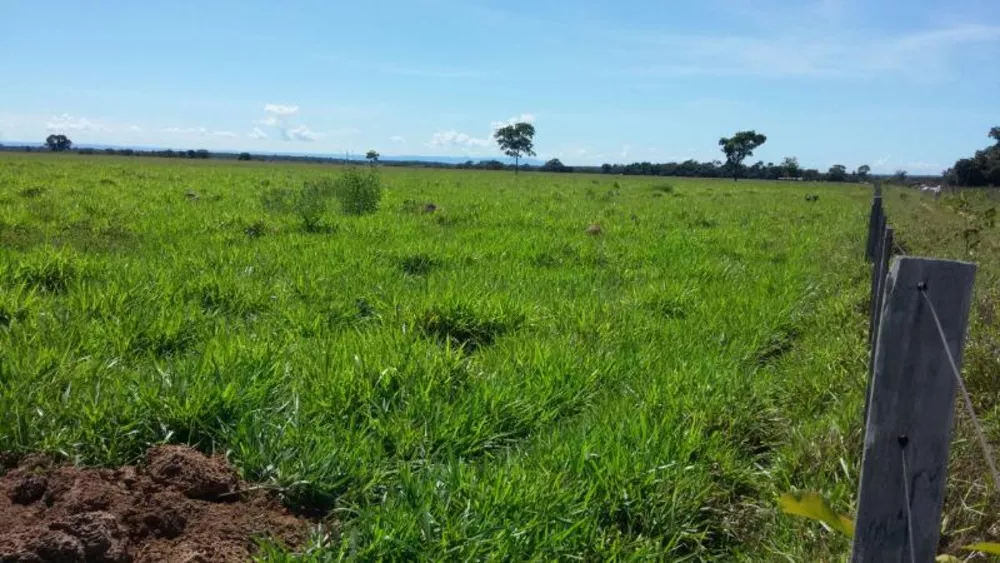 Fazenda à venda - Foto 1