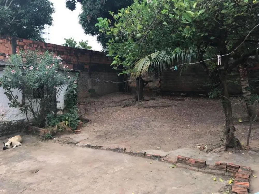 Casa, 4 quartos - Foto 20