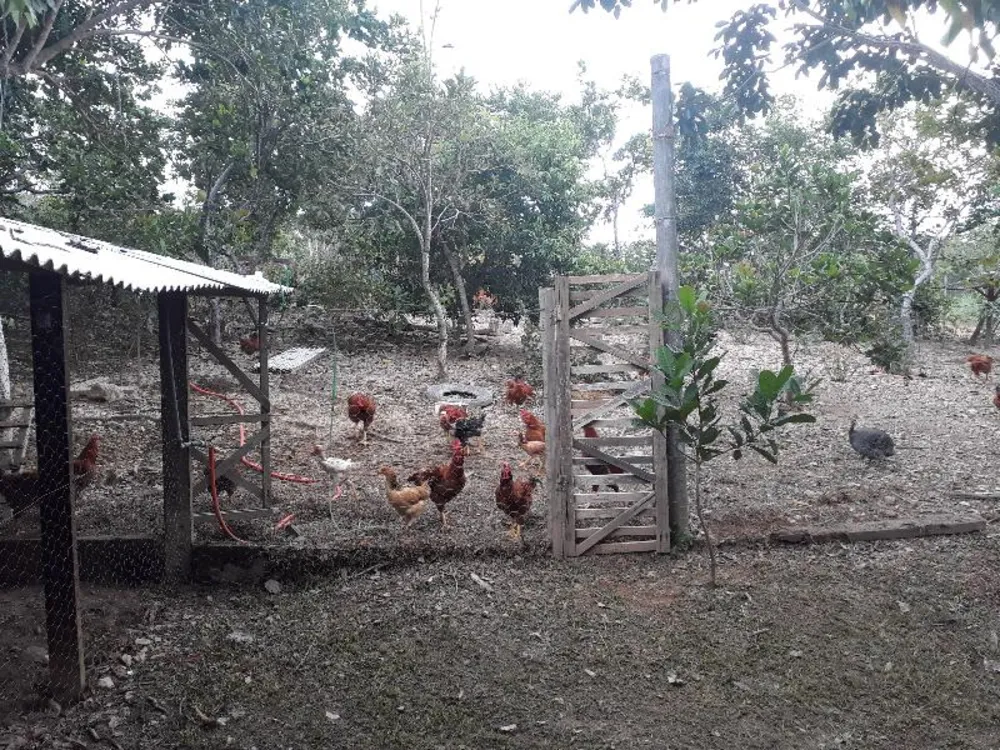 Chácara - Foto 11