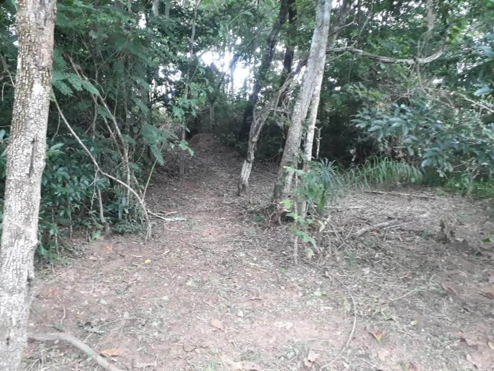 Chácara - Foto 10